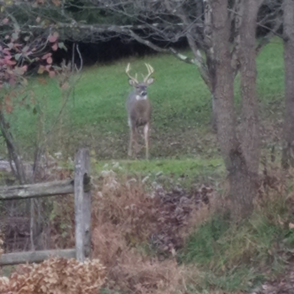 Meet your Posher, Janet - Picture 10 of 12